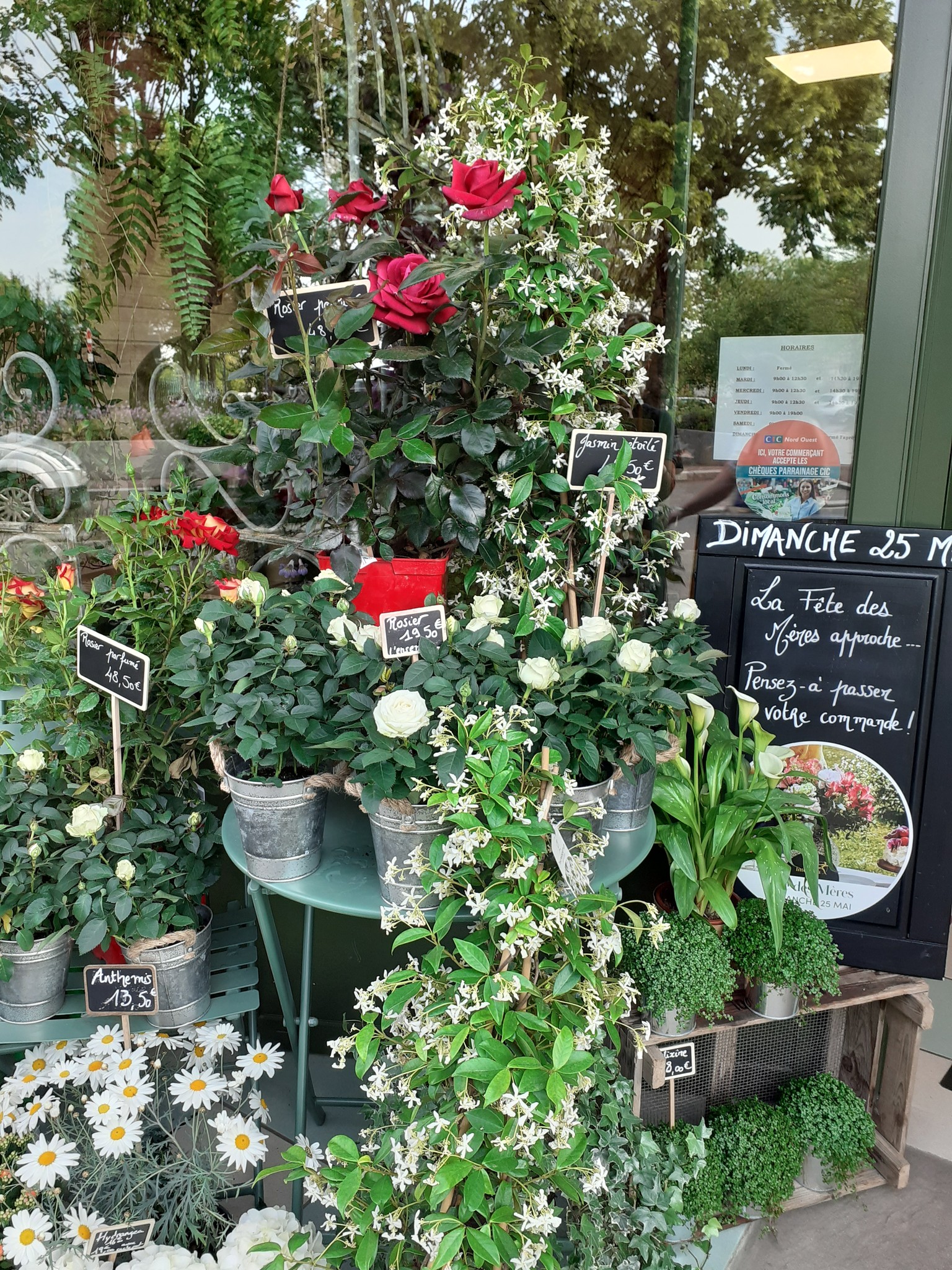 Vitrine extérieure une